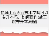 盐城工业职业技术学院可以专升本吗，如何操作(盐工院专升本流程)