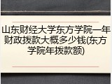山东财经大学东方学院一年财政拨款大概多少钱(东方学院年拨款额)