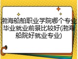 渤海船舶职业学院哪个专业毕业就业前景比较好(渤海船院好就业专业)