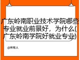 广东岭南职业技术学院哪些专业就业前景好，为什么(广东岭南学院好就业专业)