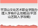 平顶山文化艺术职业学院办理入学有什么攻略没(平顶山艺院入学攻略)