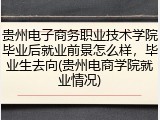 贵州电子商务职业技术学院毕业后就业前景怎么样，毕业生去向(贵州电商学院就业情况)