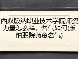 西双版纳职业技术学院师资力量怎么样，名气如何(版纳职院师资名气)