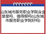 山东城市服务职业学院含金量量吗，值得报吗(山东城市服务职业学院好吗)