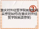 重庆对外经贸学院就读的真实感觉如何(在重庆对外经贸学院就读感受)