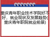 重庆青年职业技术学院好不好，就业现状及发展趋势(重庆青年职院就业前景)