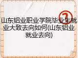 山东铝业职业学院毕业生就业大致去向如何(山东铝业就业去向)