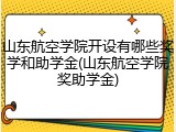 山东航空学院开设有哪些奖学和助学金(山东航空学院奖助学金)