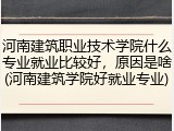河南建筑职业技术学院什么专业就业比较好，原因是啥(河南建筑学院好就业专业)
