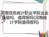 河南信息统计职业学院含金量量吗，值得报吗(河南统计学院值得报吗)