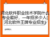河北软件职业技术学院什么专业最好，一年招多少人(河北软件王牌专业招生)
