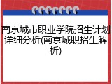南京城市职业学院招生计划详细分析(南京城职招生解析)