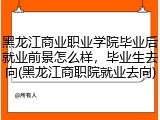 黑龙江商业职业学院毕业后就业前景怎么样，毕业生去向(黑龙江商职院就业去向)