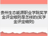 贵州生态能源职业学院奖学金评定细则是怎样的(奖学金评定细则)