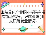 山东文化产业职业学院有没有就业指导，好就业吗(山文职院就业情况)