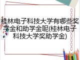 桂林电子科技大学有哪些奖学金和助学金呢(桂林电子科技大学奖助学金)