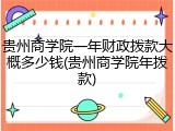 贵州商学院一年财政拨款大概多少钱(贵州商学院年拨款)
