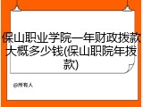 保山职业学院一年财政拨款大概多少钱(保山职院年拨款)