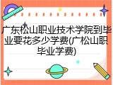 广东松山职业技术学院到毕业要花多少学费(广松山职毕业学费)