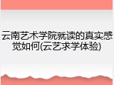 云南艺术学院就读的真实感觉如何(云艺求学体验)