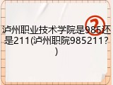 泸州职业技术学院是985还是211(泸州职院985211？)