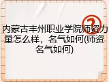 内蒙古丰州职业学院师资力量怎么样，名气如何(师资名气如何)