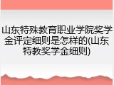 山东特殊教育职业学院奖学金评定细则是怎样的(山东特教奖学金细则)