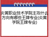 炎黄职业技术学院主攻什么方向有哪些王牌专业(炎黄学院王牌专业)