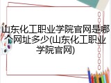 山东化工职业学院官网是哪个网址多少(山东化工职业学院官网)