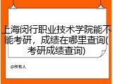 上海闵行职业技术学院能不能考研，成绩在哪里查询(考研成绩查询)