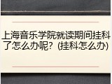 上海音乐学院就读期间挂科了怎么办呢？(挂科怎么办)