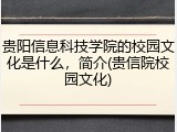 贵阳信息科技学院的校园文化是什么，简介(贵信院校园文化)
