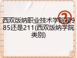 西双版纳职业技术学院是985还是211(西双版纳学院类别)