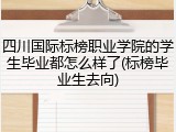 四川国际标榜职业学院的学生毕业都怎么样了(标榜毕业生去向)