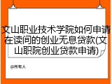 文山职业技术学院如何申请在读间的创业无息贷款(文山职院创业贷款申请)