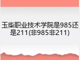 玉柴职业技术学院是985还是211(非985非211)