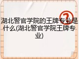 湖北警官学院的王牌专业是什么(湖北警官学院王牌专业)