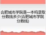 合肥城市学院是一本吗录取分数线多少(合肥城市学院分数线)