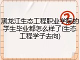 黑龙江生态工程职业学院的学生毕业都怎么样了(生态工程学子去向)