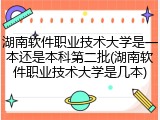 湖南软件职业技术大学是一本还是本科第二批(湖南软件职业技术大学是几本)