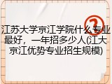 江苏大学京江学院什么专业最好，一年招多少人(江大京江优势专业招生规模)