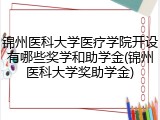 锦州医科大学医疗学院开设有哪些奖学和助学金(锦州医科大学奖助学金)