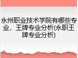 永州职业技术学院有哪些专业，王牌专业分析(永职王牌专业分析)