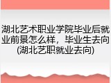 湖北艺术职业学院毕业后就业前景怎么样，毕业生去向(湖北艺职就业去向)