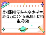 潇湘职业学院有多少学生，师资力量如何(潇湘职院师生规模)