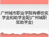 广州城市职业学院有哪些奖学金和助学金呢(广州城职奖助学金)