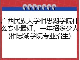 广西民族大学相思湖学院什么专业最好，一年招多少人(相思湖学院专业招生)