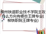 柳州铁道职业技术学院主攻什么方向有哪些王牌专业(柳铁职院王牌专业)