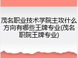 茂名职业技术学院主攻什么方向有哪些王牌专业(茂名职院王牌专业)