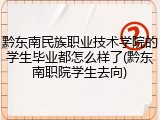 黔东南民族职业技术学院的学生毕业都怎么样了(黔东南职院学生去向)